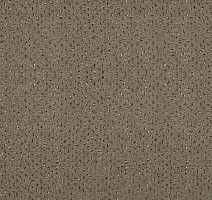 Ковролин Зартекс Eternity 145 Миндальный фото 1 | FLOORDEALER